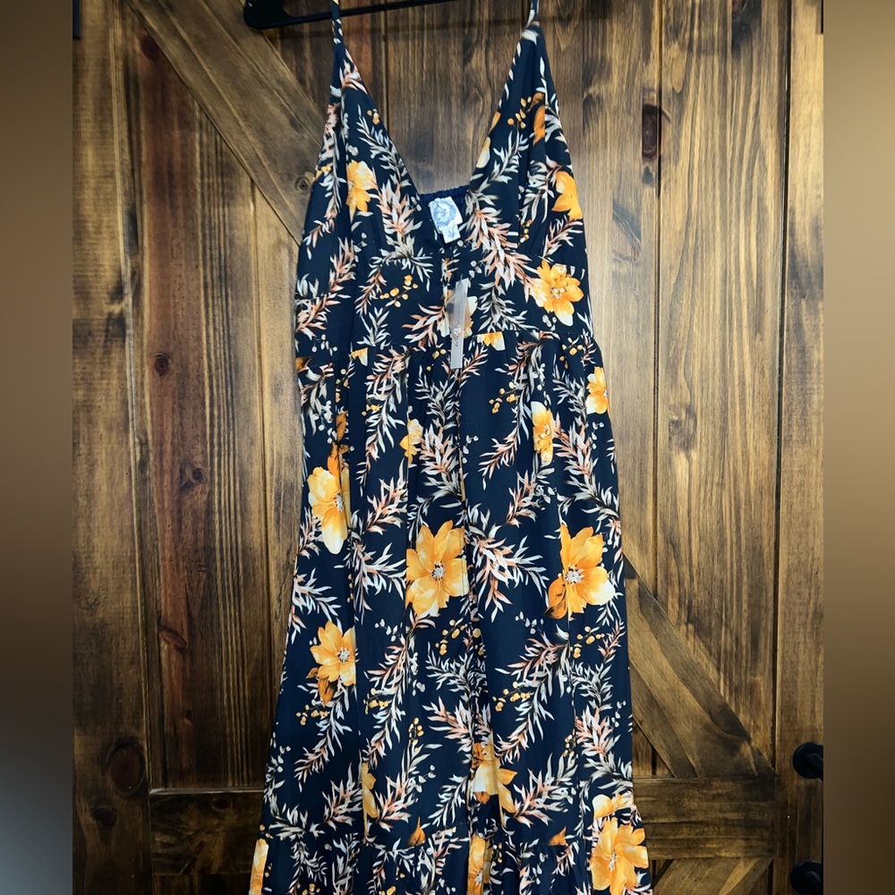 Blue Rain Francesca’s Maxi Dress. Size: Large